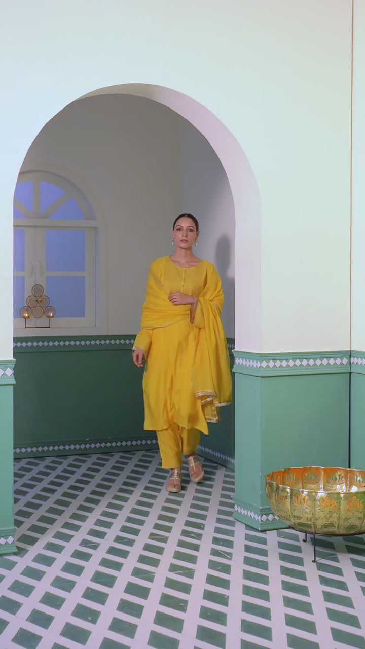 Tulip Zari Kurta Set